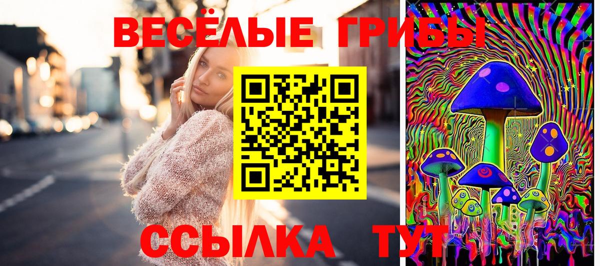 Галлюциногенные грибы Psilocybine cubensis Янаул